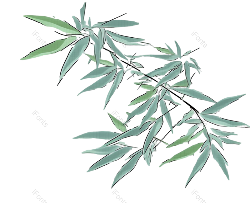 叶子图片,元素元素,传统文化PNG,竹子免抠素材